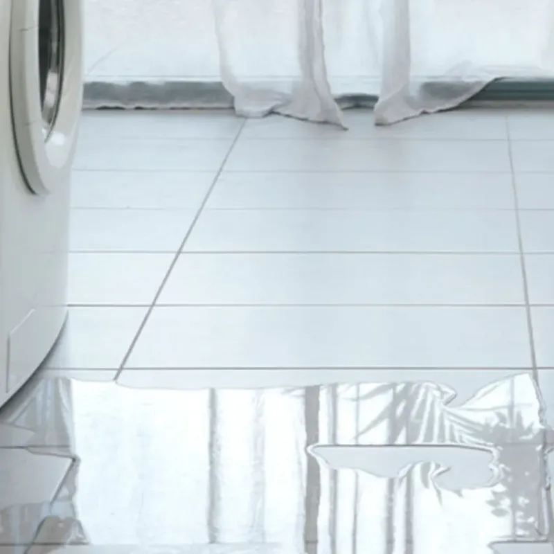 Appliance Leak Cleanup in North Center, IL