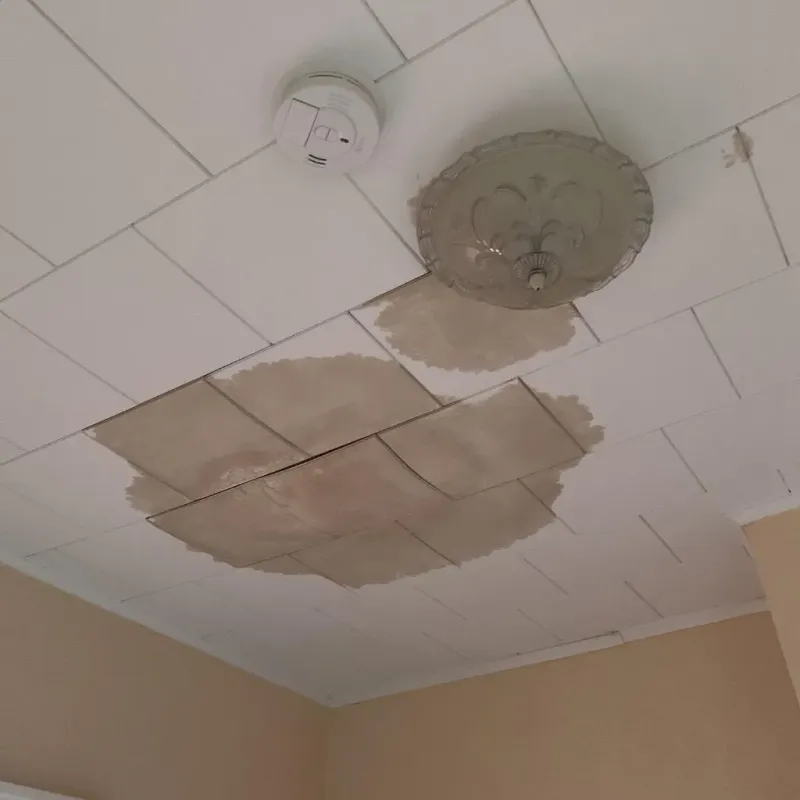 Ceiling Water Damage Repair in North Center, IL