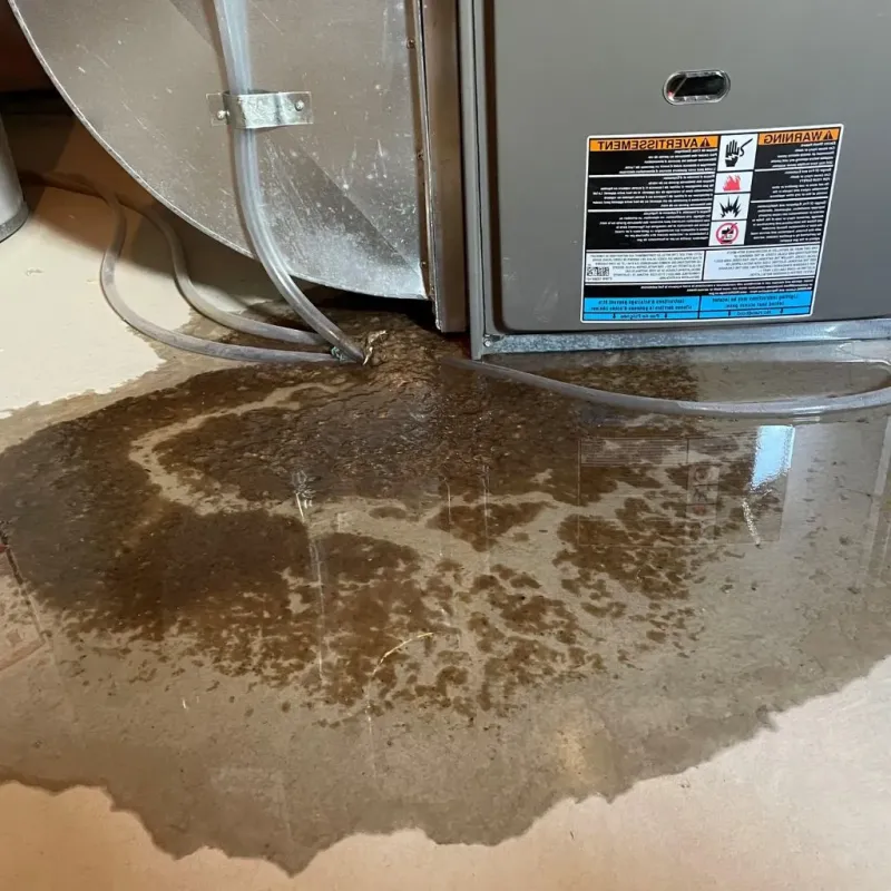 Pipe Burst and Leak Restoration in North Center, IL