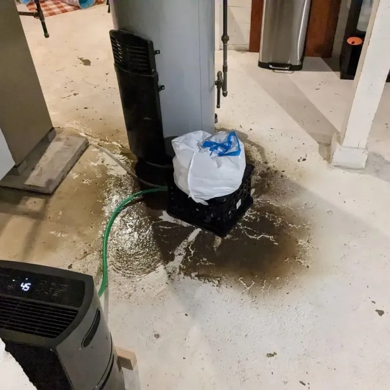 Sewage Backup Cleanup Service in North Center, IL